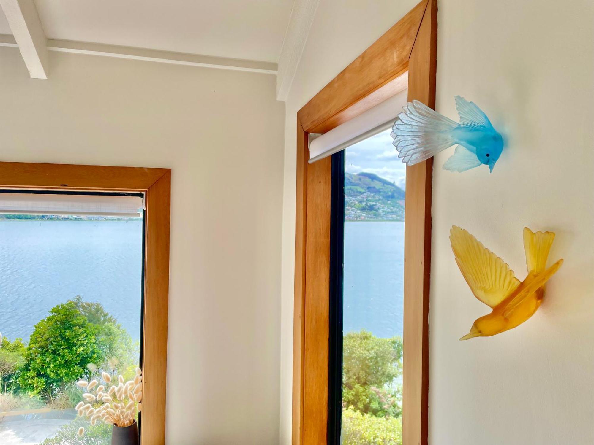 The Cove Cabin - Your Quiet Escape Ντούνεντιν Εξωτερικό φωτογραφία